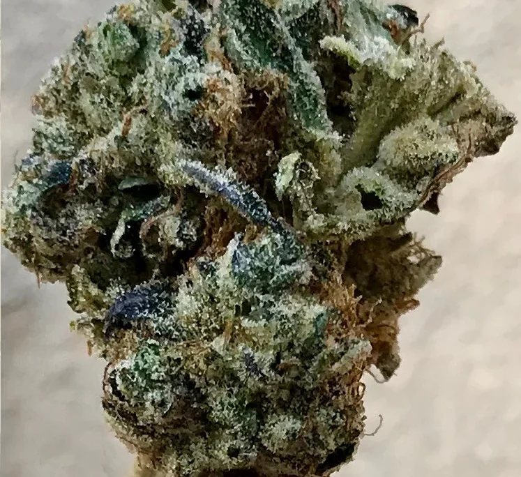 Blackberry by gLeaf