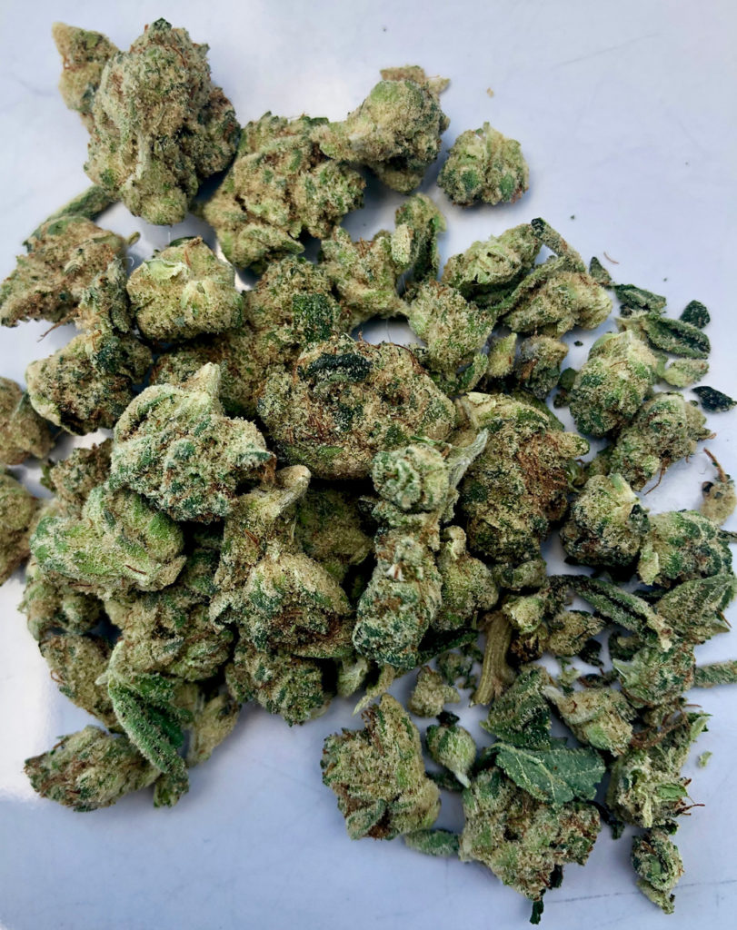 Grease Monkey by gLeaf