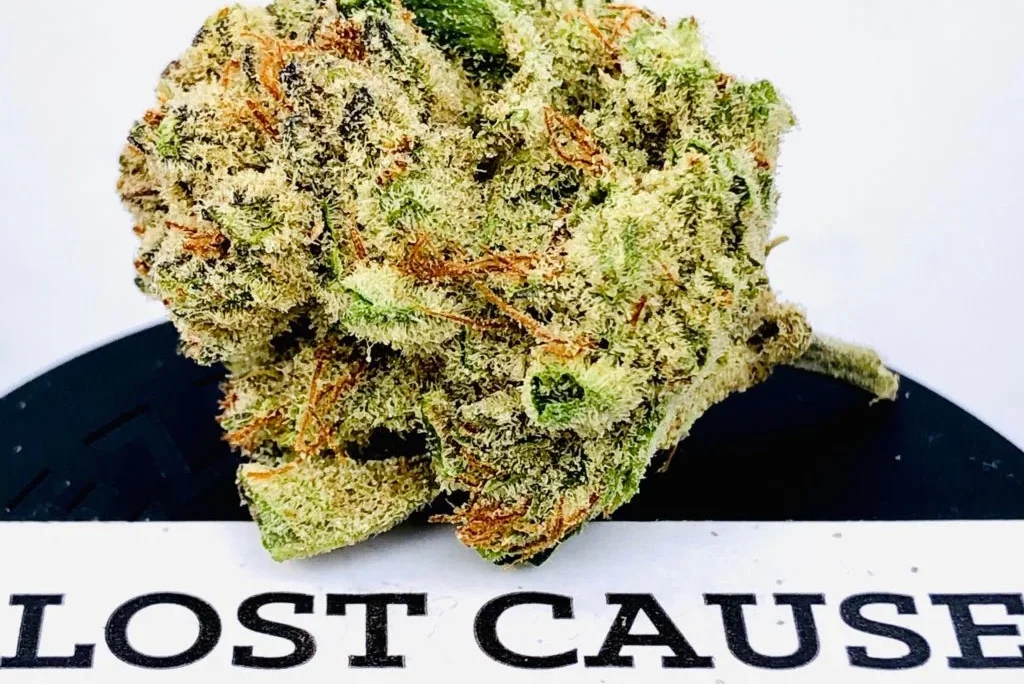 Lost Cause by Strane