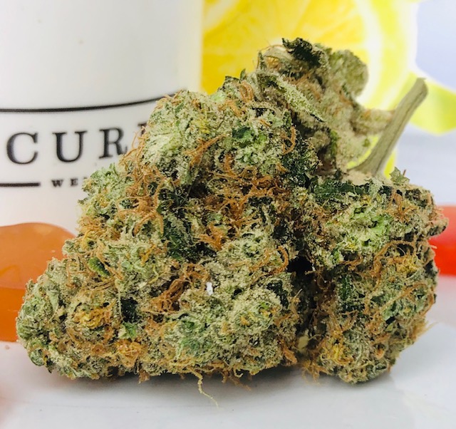 Sour Lemon by Curio