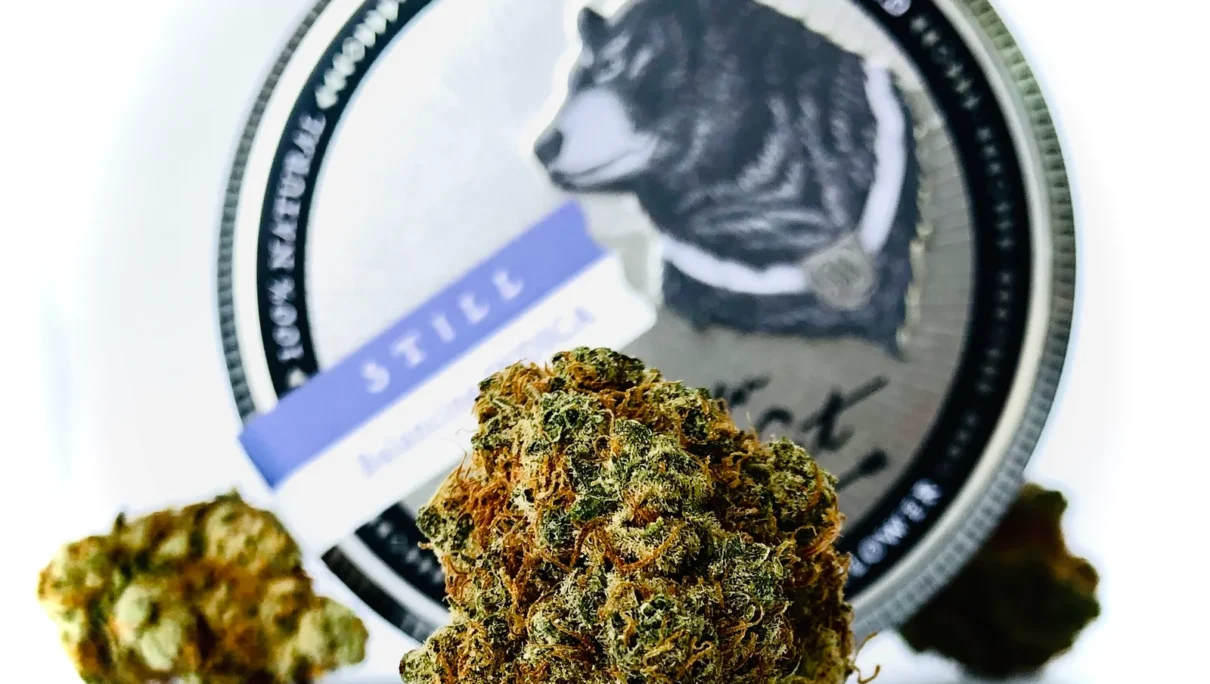 Angus by Grow West