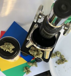 mk ultra and microscope