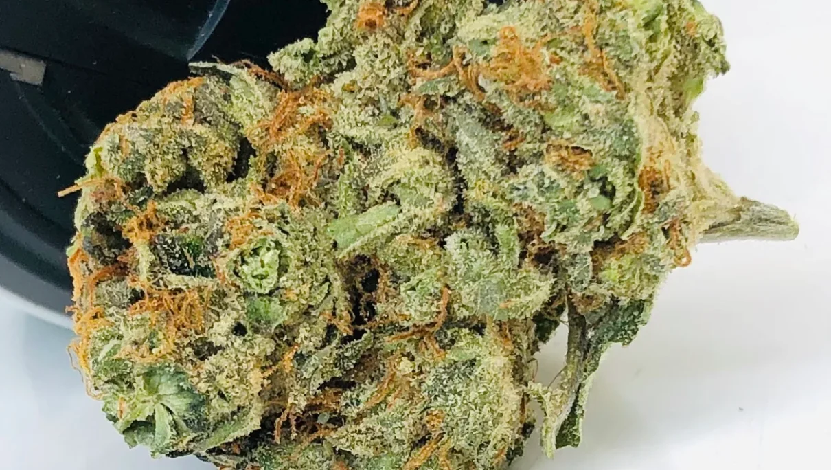 Sour Gorilla by Curio