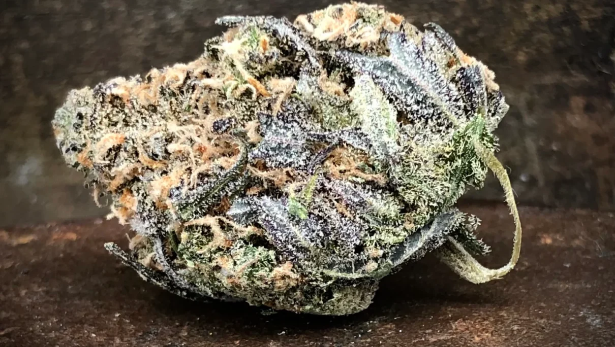 Bluniverse Grow West